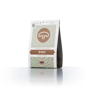 Shiitake mycelium on plugs for home cultivation